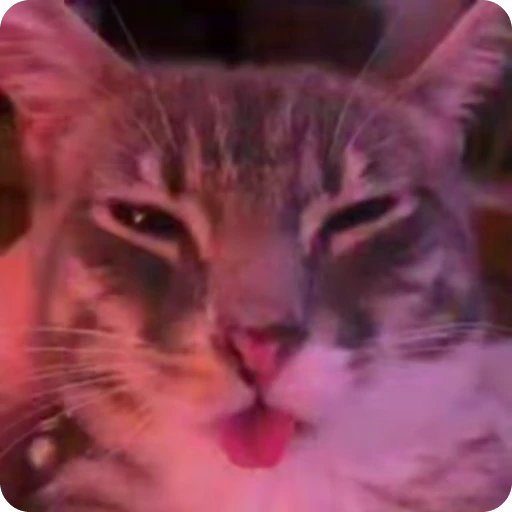 🕺 Стикер «nekos UωU» для Telegram