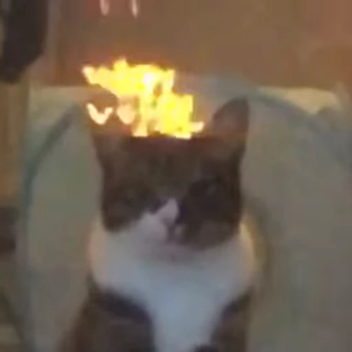 🔥 Стикер «nekos UωU» для Telegram