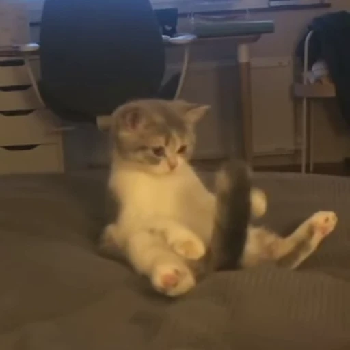 🥵 Стикер «nekos UωU» для Telegram