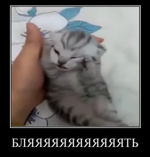 🤬 Стикер «nekos UωU» для Telegram