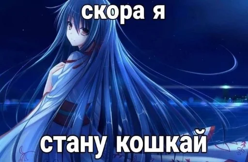 🐱 Стикер «nyashki228» для Telegram