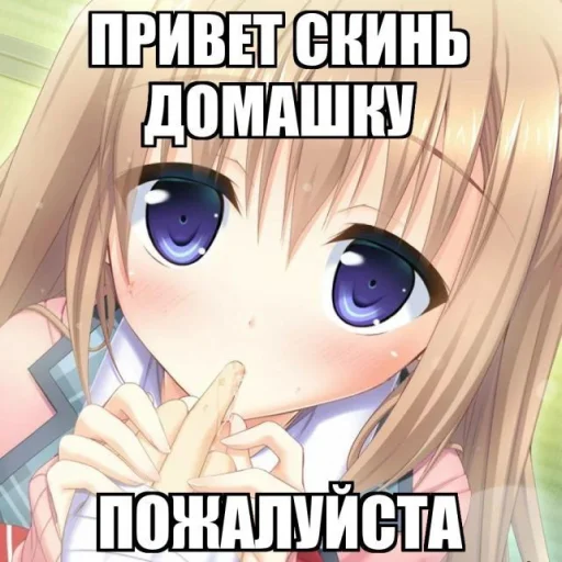 🌸 Стикер «Строго для няшки» для Telegram