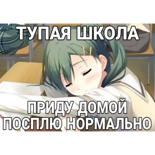 🌸 Стикер «Строго для няшки» для Telegram