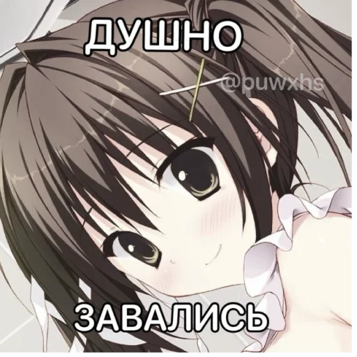 🤓 Стикер «Няшки правят Миром» для Telegram