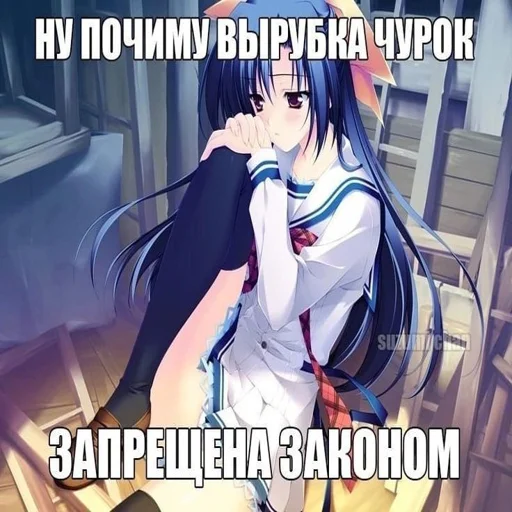 ☹️ Стикер «Няшки правят Миром» для Telegram
