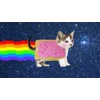 Стикер 57 Nyan Cat