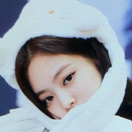 🥟 Стикер «kim jennie» для Telegram