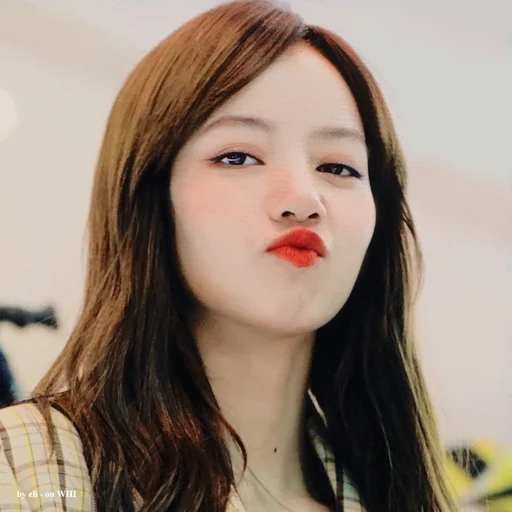 🐈 Стикер «lalisa manoban» для Telegram