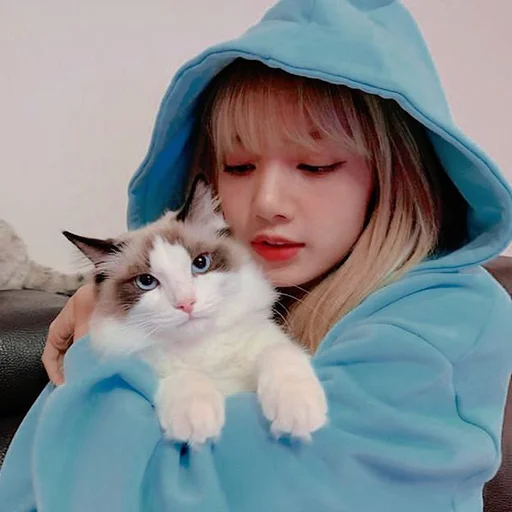 🐈 Стикер «lalisa manoban» для Telegram