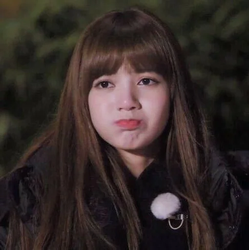 🐈 Стикер «lalisa manoban» для Telegram