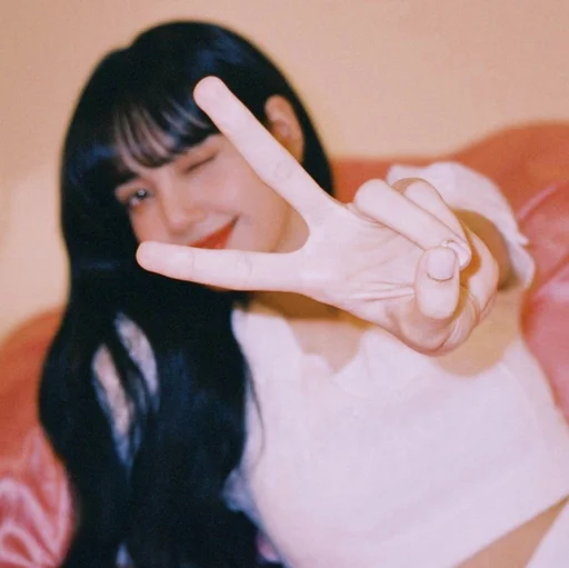 🐈 Стикер «lalisa manoban» для Telegram