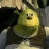 Стикер 54 SHREK #status #other