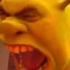 Стикер 27 SHREK #status #other