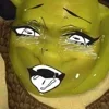 Стикер 7 SHREK #status #other
