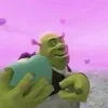 Стикер 44 SHREK #status #other