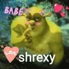 Стикер 60 SHREK #status #other