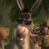 Стикер 30 SHREK #status #other