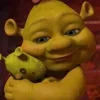 Стикер 29 SHREK #status #other