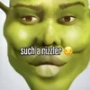 Стикер 55 SHREK #status #other