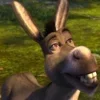 Стикер 31 SHREK #status #other