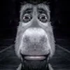 Стикер 50 SHREK #status #other