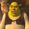Стикер 52 SHREK #status #other