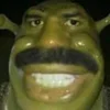 Стикер 48 SHREK #status #other