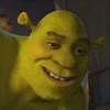 Стикер 40 SHREK #status #other