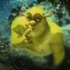 Стикер 51 SHREK #status #other