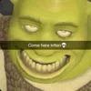 Стикер 58 SHREK #status #other