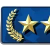 Стикер 17 CSGO RANKS #game #status