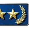 Стикер 18 CSGO RANKS #game #status