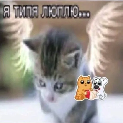 ❤️ Стикер «казеный унитаз» для Telegram