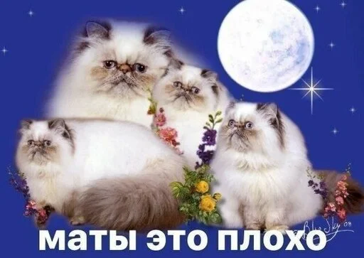 🤫 Стикер «казеный унитаз» для Telegram
