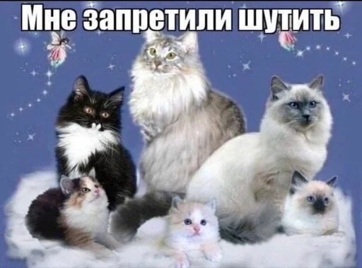 😩 Стикер «казеный унитаз» для Telegram
