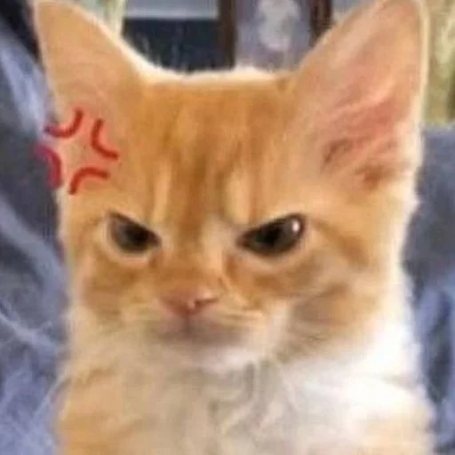 😡 Стикер «oaoaoaoaoaoaaoa» для Telegram