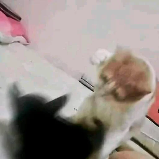 😎 Стикер «oaoaoaoaoaoaaoa» для Telegram