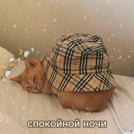 ❤️ Стикер «oaoaoaoaoaoaaoa» для Telegram