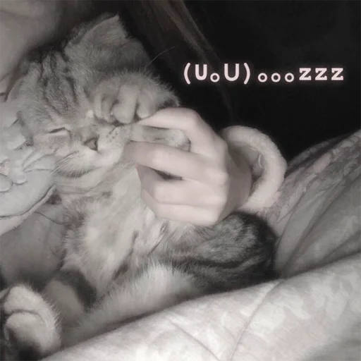 🥺 Стикер «oaoaoaoaoaoaaoa» для Telegram