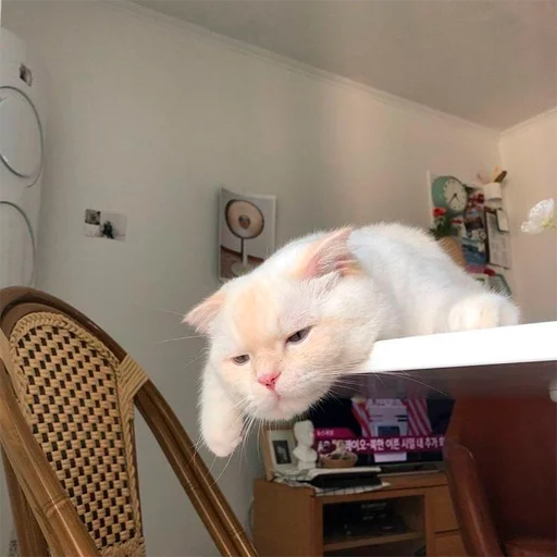 😴 Стикер «oaoaoaoaoaoaaoa» для Telegram