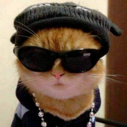 😎 Стикер «oaoaoaoaoaoaaoa» для Telegram