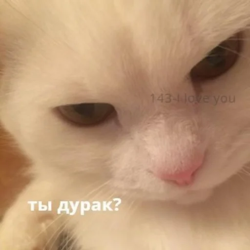 🥰 Стикер «oaoaoaoaoaoaaoa» для Telegram