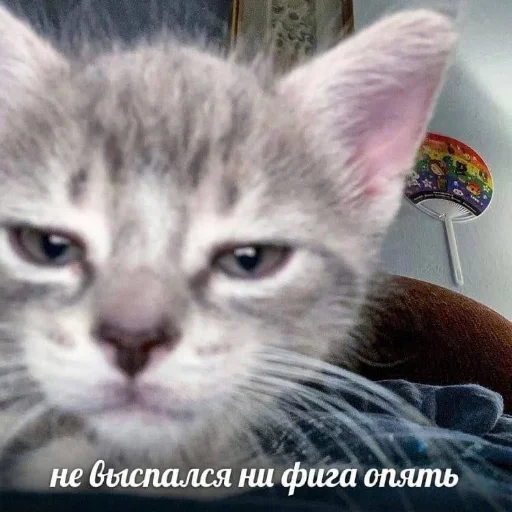 😭 Стикер «oaoaoaoaoaoaaoa» для Telegram