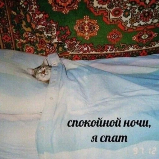 💤 Стикер «oaoaoaoaoaoaaoa» для Telegram