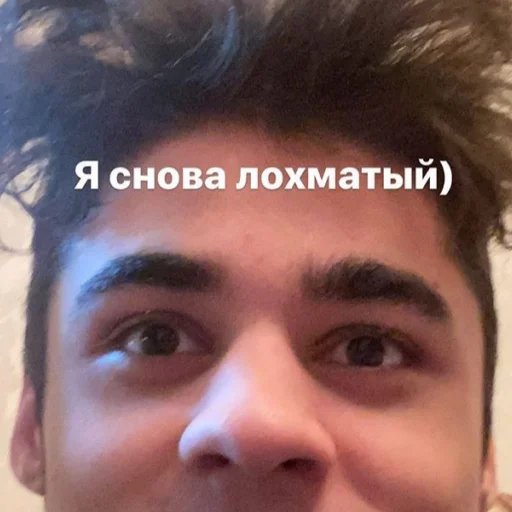 😌 Стикер «Команда Димы» для Telegram