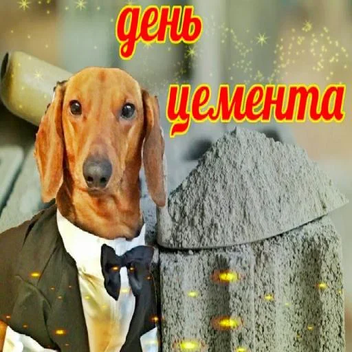 ❤️ Стикер «Мемные» для Telegram