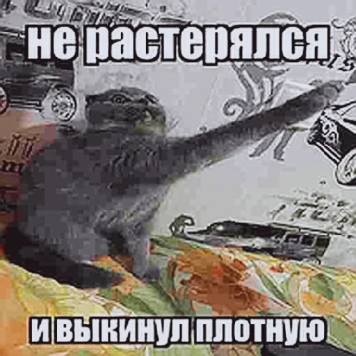 ❤️ Стикер «Мемные» для Telegram