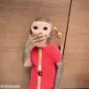 Стикер 23 обезьянки