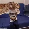 Стикер 10 обезьянки
