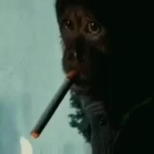 🚬 Стикер «Обезьянки» для Telegram